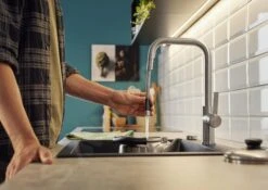 Blanco Jandora S - Keukenkraan Met Uittrekbare Sproeikop, Geborsteld Rvs 526614 -Kwaliteitskeukenwinkel Voor Thuis 4fa8fac093fb9deae07017a0